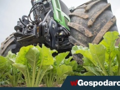 Będzie tymczasowa umowa z Mercosur?