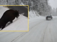 Ujęcie z drogi w Bieszczadach. "Warto ściągnąć nogę z gazu"
