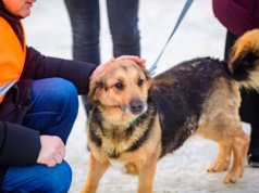 Akcja „RozgrzejsŁodziaka”. Biletów na drugi termin już brak