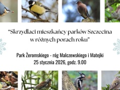 Spacer śladami skrzydlatych mieszkańców parków Szczecina