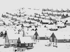 Polacy z Grenlandii zabrali głos. Bardziej od Trumpa obawiają się UE?