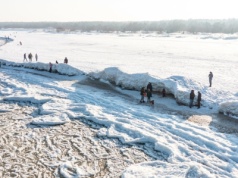"Lodowe tsunami" w Mikoszewie. Torosy sięgają nawet dwóch metrów!