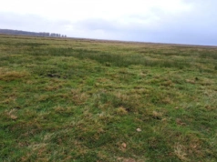 Dopłaty bezpośrednie 2026. Ważne zmiany w GAEC i dobrostanie