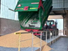 Ceny zbóż stoją, nawozy mocno w górę. A co ze świniami i bydłem?