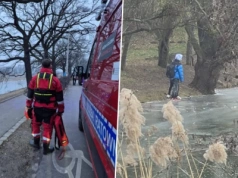 Pod chłopcem załamał się lód na rzece. Chwile grozy we Wrocławiu