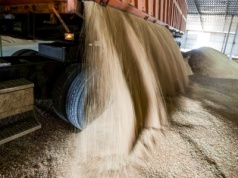 Notowania zbóż z 22 stycznia 2026. Pszenica bez zmian na MATIF, wzrost na CBOT