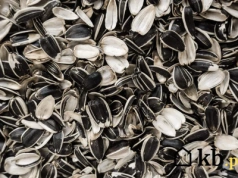 Coraz więcej osób pali tym w kotłach. Kusi niska cena, ale nie każdy kocioł to wytrzyma