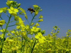 Jak dobrze stosować biologię na polach?