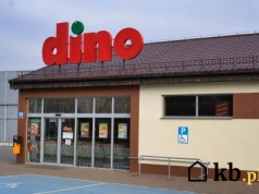 Kolejki od świtu w Dino? Luksusowa kawa w cenie, której nikt się nie spodziewał