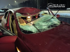 Zderzenie z łosiem na Wawrze i na Bielanach zablokowało ruch na kilka godzin