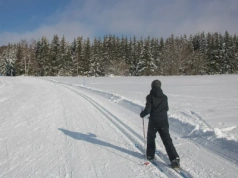 50 km tras na narty 30 minut od centrum Warszawy. Spokój i dużo śniegu