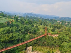 Osunięcie ziemi w Indonezji. Nie żyje siedem osób