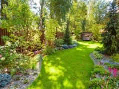 Zaskakujące trendy ogrodnicze na 2026 rok. W tym sezonie postaw na chaos i te rośliny