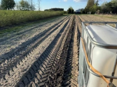 Lepsze wykorzystanie nawozów i wody, wyższe plony? Tak, ale korzyści z wysokiego udziału próchnicy w glebie jest znacznie więcej!