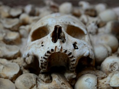 Kości, rany i masowe groby. Co archeologia mówi o przemocy dawnych ludzi