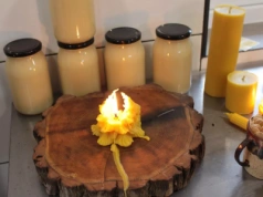 Mercosur – UE: 45 tys. ton miodu rocznie. Co to znaczy dla pszczelarzy w Polsce?