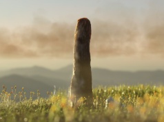 Tajemnicze olbrzymy. Naukowcy potwierdzają istnienie wymarłej gałęzi życia