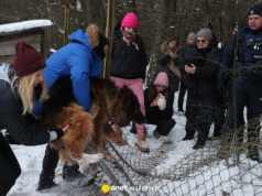 Byliśmy przed schroniskiem w Sobolewie. "Skazywanie na mordownie"