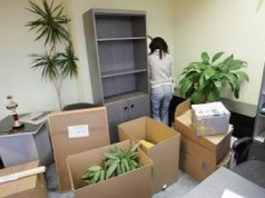 Polacy wracają z emigracji. Ale nie zawsze do kraju