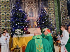 Kard. Stanisław Dziwisz poświęcił odnowioną polichromię w Szczucinie. Parafia świętuje 700 lat istnienia