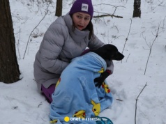 Schronisko w Sobolewie jest już puste. Jest potwierdzenie