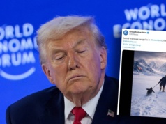 Chińskie media drwią z USA. "Nawet jeśli na Grenlandii są pingwiny...". Mem bije rekordy w sieci