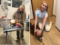 Marianna Schreiber zabrała psa z Sobolewa i relacjonuje na X. W komentarzach burza