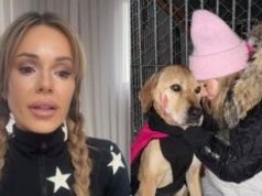 Doda kończy działania pomocowe na rzecz schronisk. "To jest dla mnie PSYCHICZNIE NIE DO ZNIESIENIA" (WIDEO)