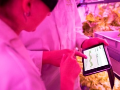 Nawet 2 lata więzienia grożą ci za korzystanie z cudzego WiFi bez zgody