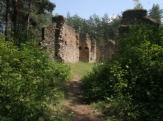 Sosnowy las kryje ruiny kościoła. Otacza je tajemnicza aura