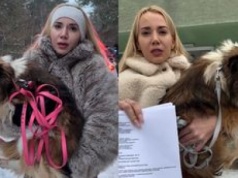 Marianna Schreiber zabrała psa z Sobolewa. 