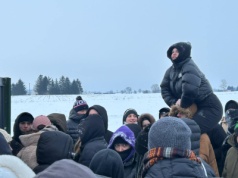 Tłumy przed bramą wjazdową do schroniska Zielone Pole w Ostrowitem. Doda przywiozła budy
