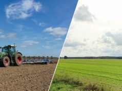 KOWR sprzedaje 75 ha ziemi w jednym kawałku. Cena kusi, ale ogłoszenie ma haczyki