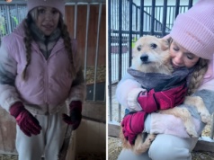 Doda ruszyła na pomoc do kolejnego schroniska. Zaapelowała do fanów