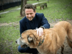 Nieprawidłowości w Schronisku na Paluchu. „Stan techniczny stwarza zagrożenie dla ludzi i zwierząt”. Zawiadomiono prezydenta