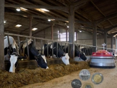 Ceny mleka spadają kolejny miesiąc. Jak poprawić opłacalność?