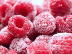 Nowoczesne przetwórstwo malin na Ukrainie: jak lokalna fabryka wchodzi na rynek UE