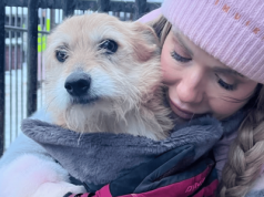 Nagły zwrot w sprawie Dody. Pojawiła się w schronisku i się zaczęło