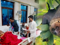 Śmiertelny wirus atakuje w Azji. Nie ma leku ani szczepionki