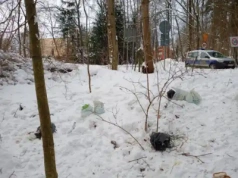 Zostawił w śmieciach swój adres. Strażnicy zapukali prosto do drzwi!