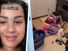 Powiedział, że tylko on sprząta w domu. Żona dała mu 