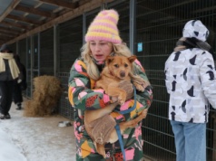 System kontroli schronisk jest dziurawy. Bezkarność ludzi oznacza męczarnie zwierząt