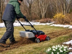 Każdy ogrodnik robi to w lutym. Trawnik będzie gęsty, zieloniutki i bez mchu