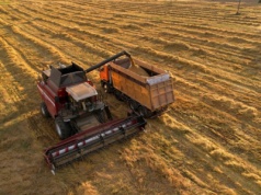 Blokada importu z zakazanymi pestycydami coraz bliżej. WIR: Łatwo będzie go obejść