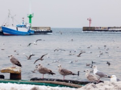 Dalej nie ma już niczego. TOP 5 miast na końcu Polski zdaniem AI