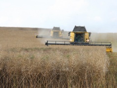 Umowa z Mercosur. Rolnicy panikują, nasz strategiczny sektor się cieszy