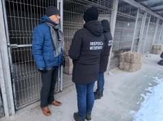 Schronisko „Happy Dog” w Sobolewie zamknięte. „Znęcał się”