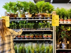 Unia Europejska nie rezygnuje z „zielonej rewolucji”. Tym razem zakaże plastikowych doniczek