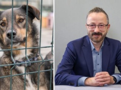 Czy opieka nad bezdomnymi zwierzętami w Polsce działa? Gościem RŁ Krzysztof Piątkowski