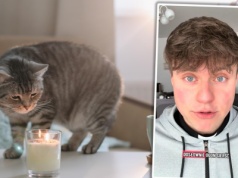 Incydent podczas kolędy. Kotu nagle zapalił się ogon. Po chwili ksiądz musiał reagować na kolejne zagrożenie